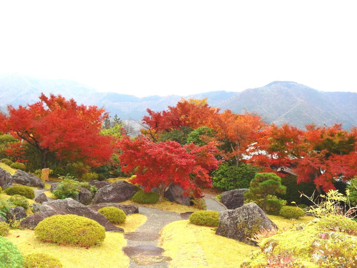 Tkp Lectore Hakone Gora Buitenkant foto