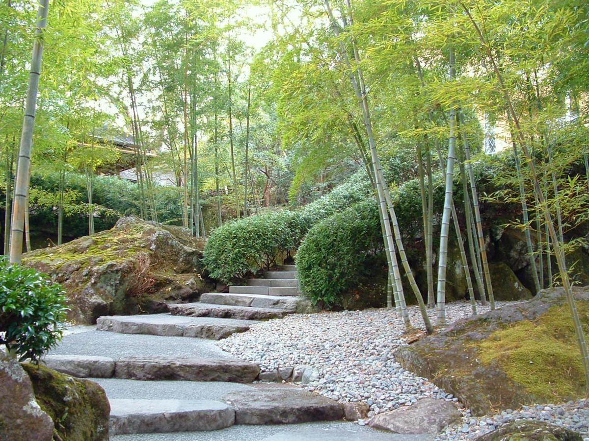 Tkp Lectore Hakone Gora Buitenkant foto