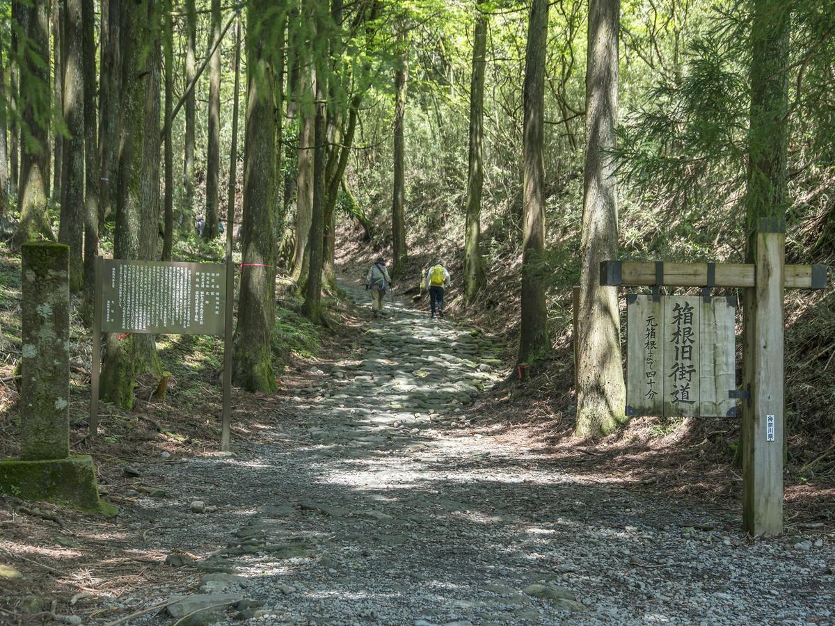 Tkp Lectore Hakone Gora Buitenkant foto
